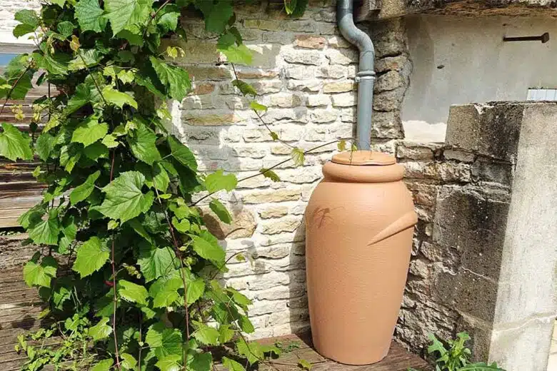 Un récupérateur d'eau de pluie branché à une gouttière.