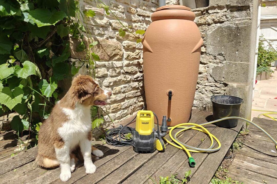 Un récupérateur d'eau de pluie et un seau.