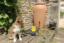 Un récupérateur d'eau de pluie et un seau.