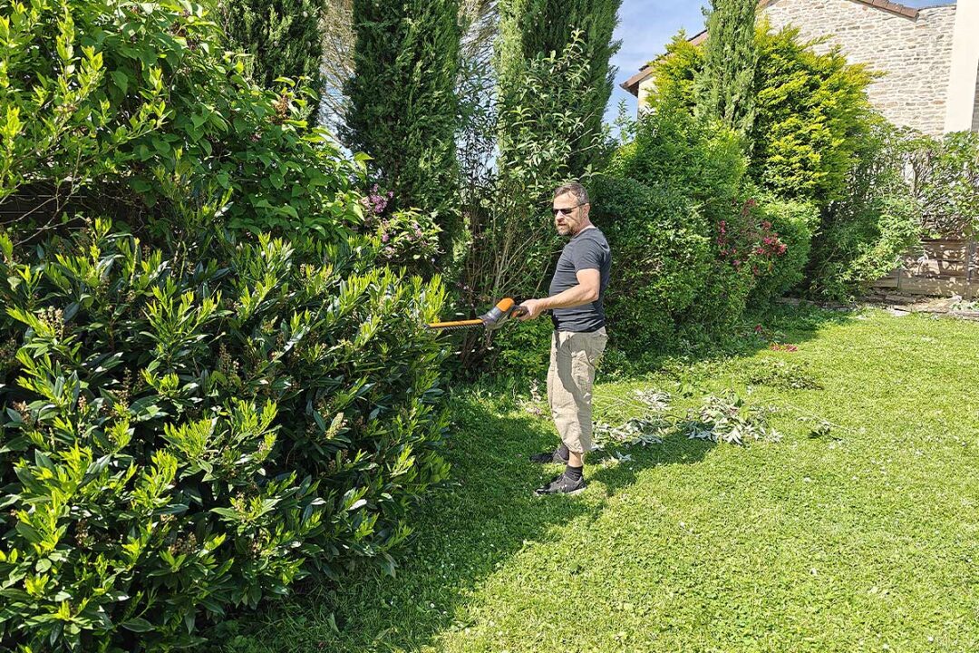 Quelles solutions adopter si la haie de votre voisin envahit votre propre jardin ?