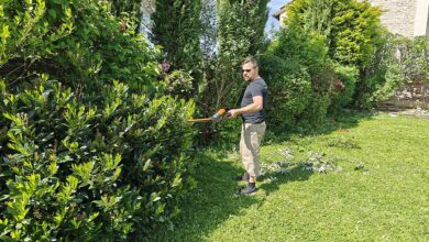Quelles solutions adopter si la haie de votre voisin envahit votre propre jardin ?