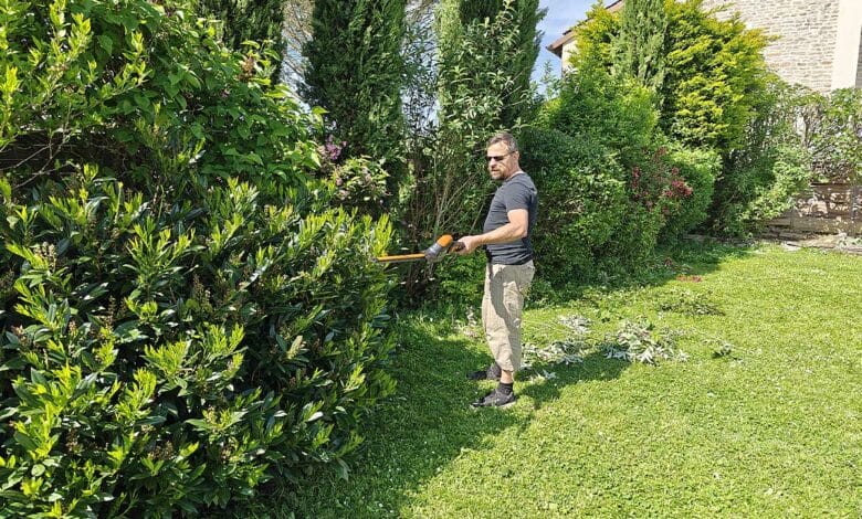 Quelles solutions adopter si la haie de votre voisin envahit votre propre jardin ?