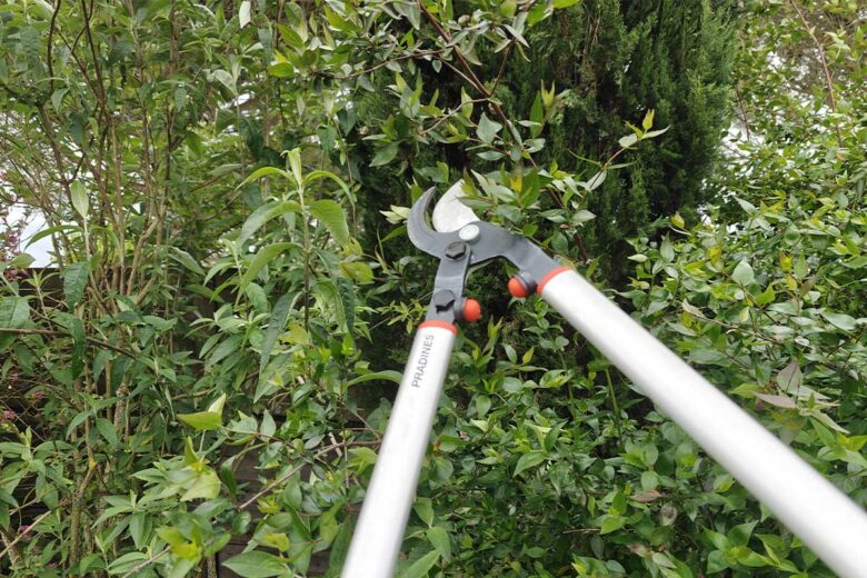 Savez-vous que vous n'avez pas le droit de couper les branches de votre voisin qui dépassent chez vous sans son accord ?