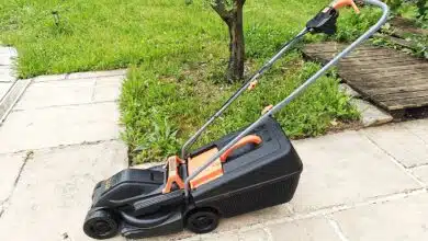 Une tondeuse électrique pour le jardin.