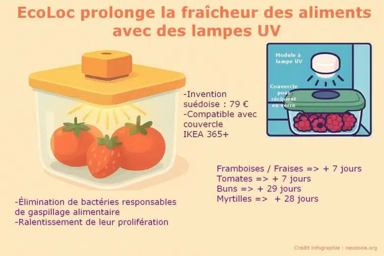 EcoLoc, la lumière UVC qui chasse les microbes du frigo !
