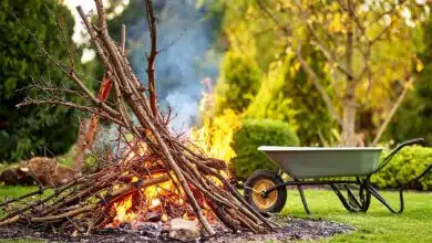 Un feu de déchets vert dans le jardin.