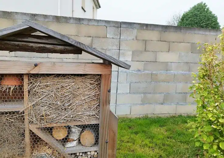 Des cases d'hôtel à insectes.
