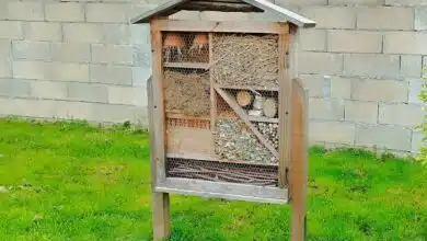 Un hôtel à insectes dans le jardin.