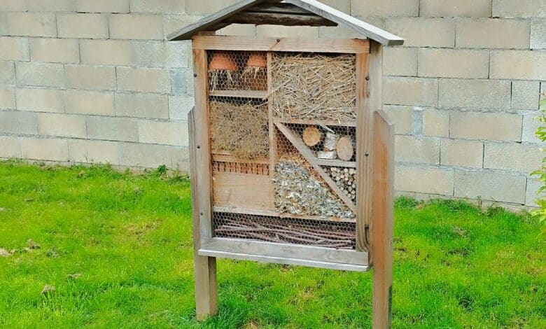 Un hôtel à insectes dans le jardin.