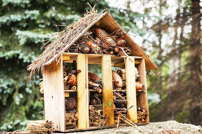 Un hôtel pour insectes en bois.