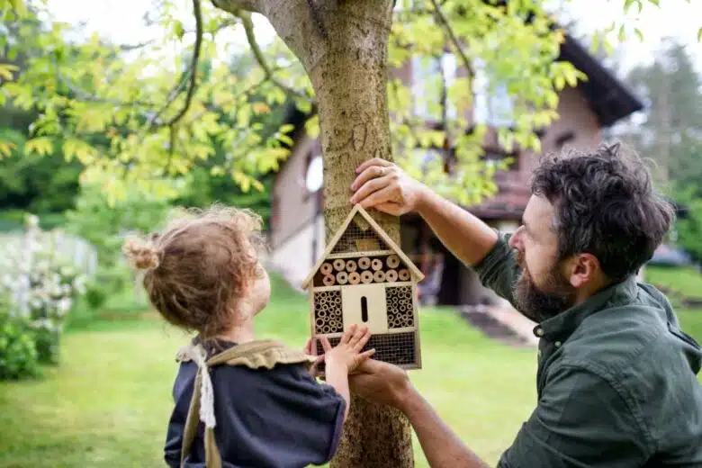 Un mini hôtel à insectes installé par un père et sa fille.