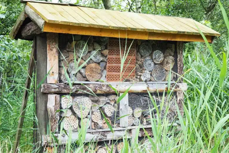 Un abri pour insectes en pleine nature.