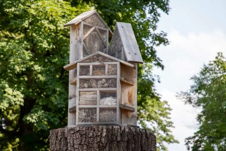 Un hôtel à insectes sur un tronc d'arbre.