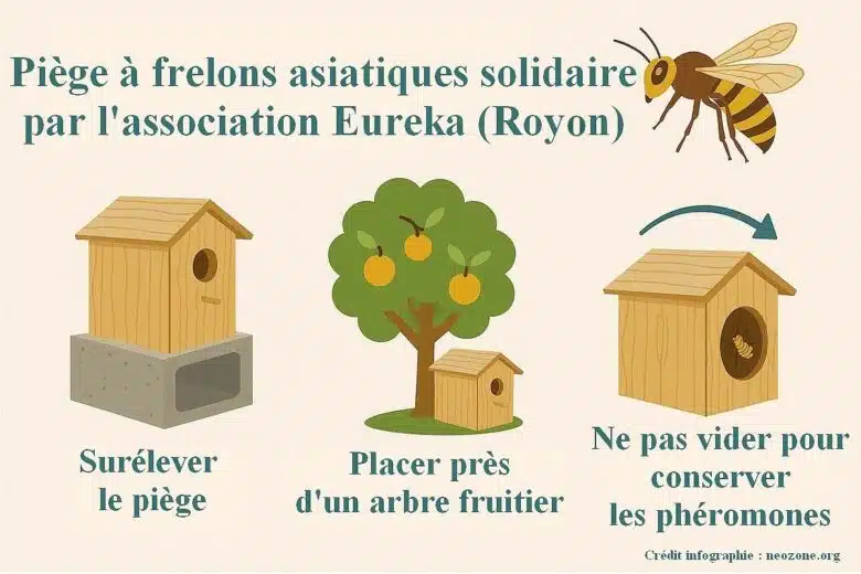 Infographie : focus sur le piège de l'association Eurêka à Royon (62).