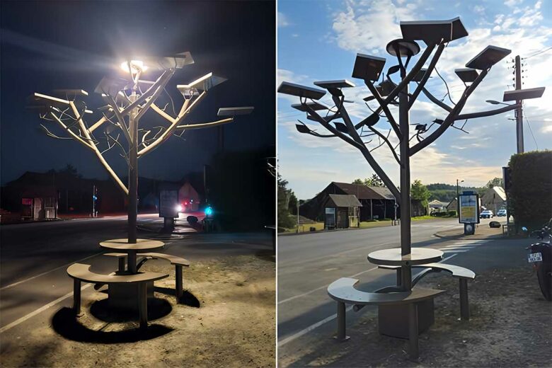 L'arbre du partage de Hervé Louifi.