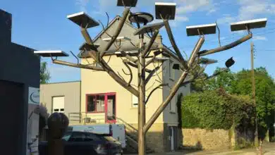 Un arbre avec des panneaux solaires.
