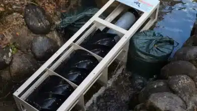 Une hydrolienne pour cours d'eau à faible débit.