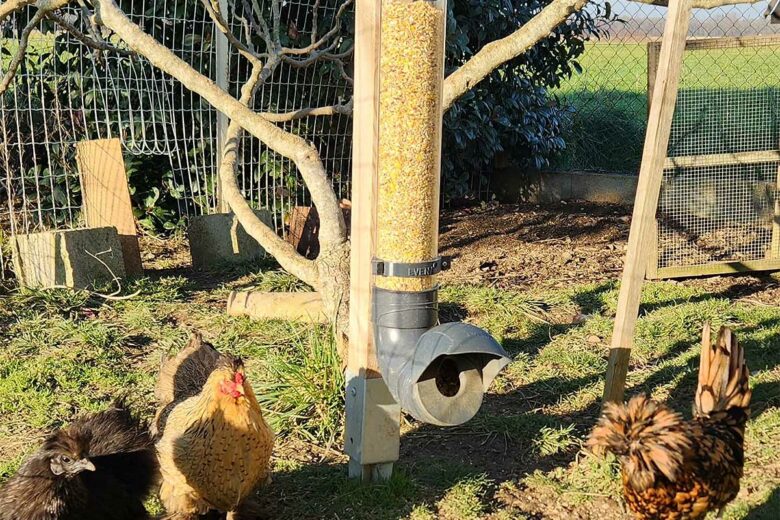 Une mangeoire Evena installée dans le jardin.