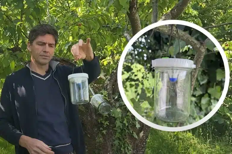 Un piège à frelon.