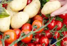 Un panier avec des tomates et des pommes de terre.