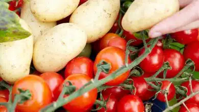 Un panier avec des tomates et des pommes de terre.