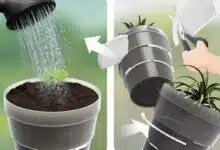 Un pot avec des intercalaires pour s'adapter à la croissance de la plante.
