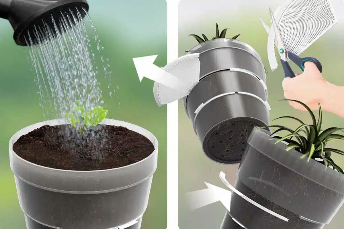 Un pot avec des intercalaires pour s'adapter à la croissance de la plante.