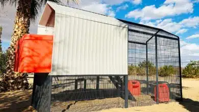 Un poulailler intelligent pour vos poules.
