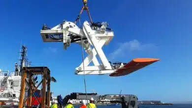 Manutention du foil de Bluefins.