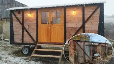 Un vieux wagon transformé en tiny house.