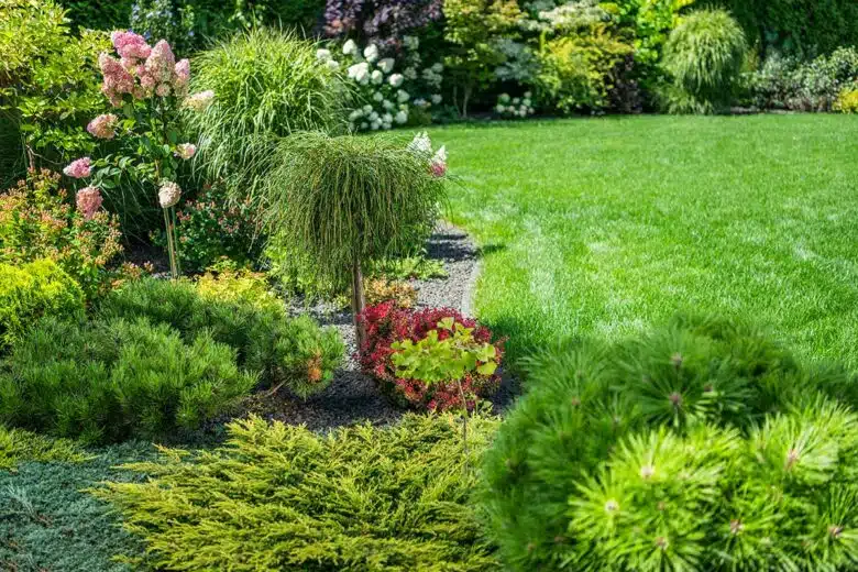 L’Univers des jardins : 50 Ans de passion au service de vos extérieurs