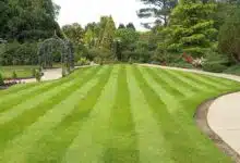 L’Univers des jardins : 50 Ans de passion au service de vos extérieurs