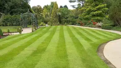 L’Univers des jardins : 50 Ans de passion au service de vos extérieurs