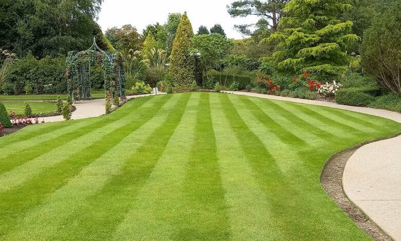 L’Univers des jardins : 50 Ans de passion au service de vos extérieurs