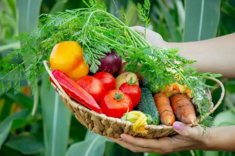 Un panier de légumes du potager.