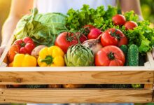 Une femme tient une cagette de légumes.