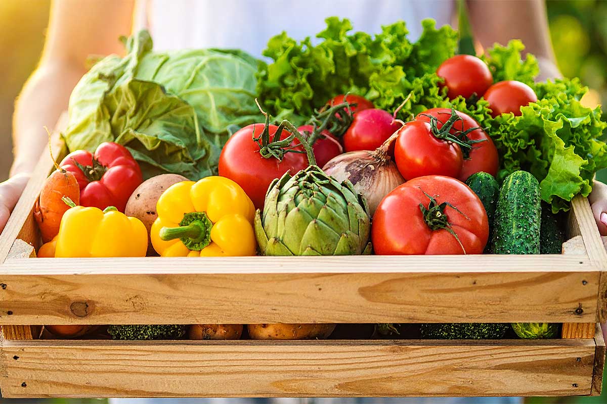 Une femme tient une cagette de légumes.