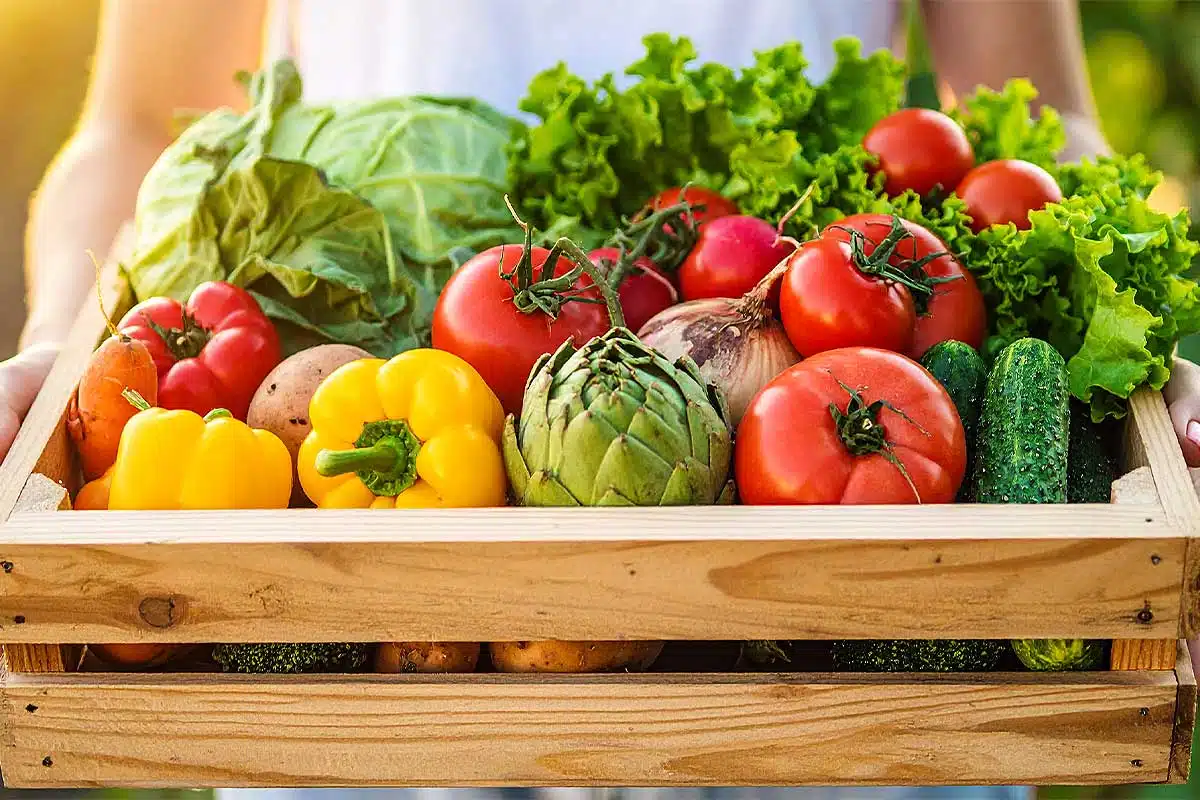 Une femme tient une cagette de légumes.
