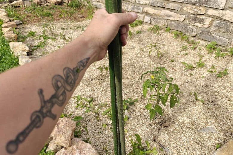 Des tuteurs pour les tomates.