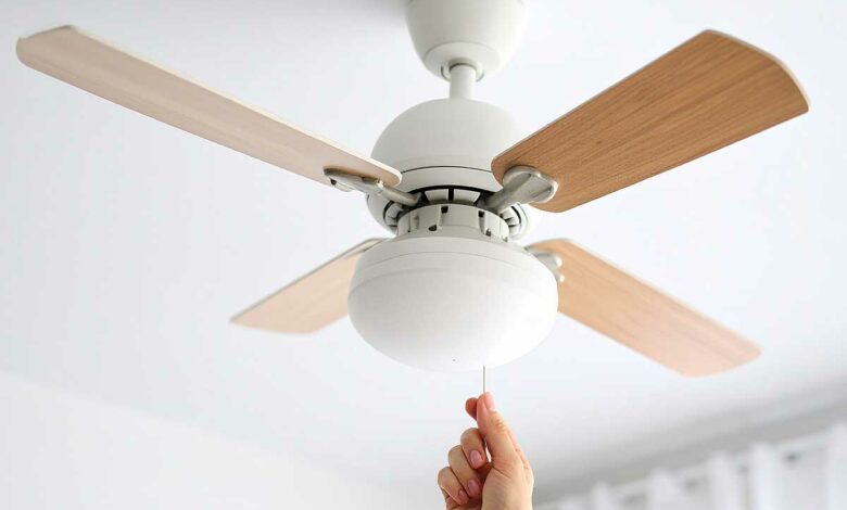 Avez-vous envisagé d'installer un ventilateur de plafond pour mieux supporter la chaleur ?