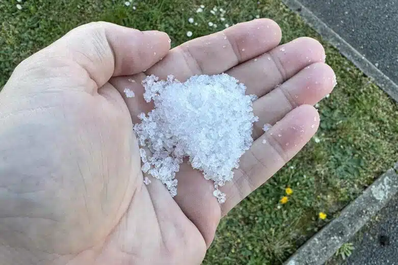 Une poignée de gros sel.