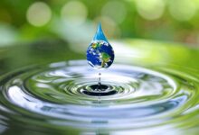 L'eau est une ressource précieuse.