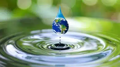 L'eau est une ressource précieuse.