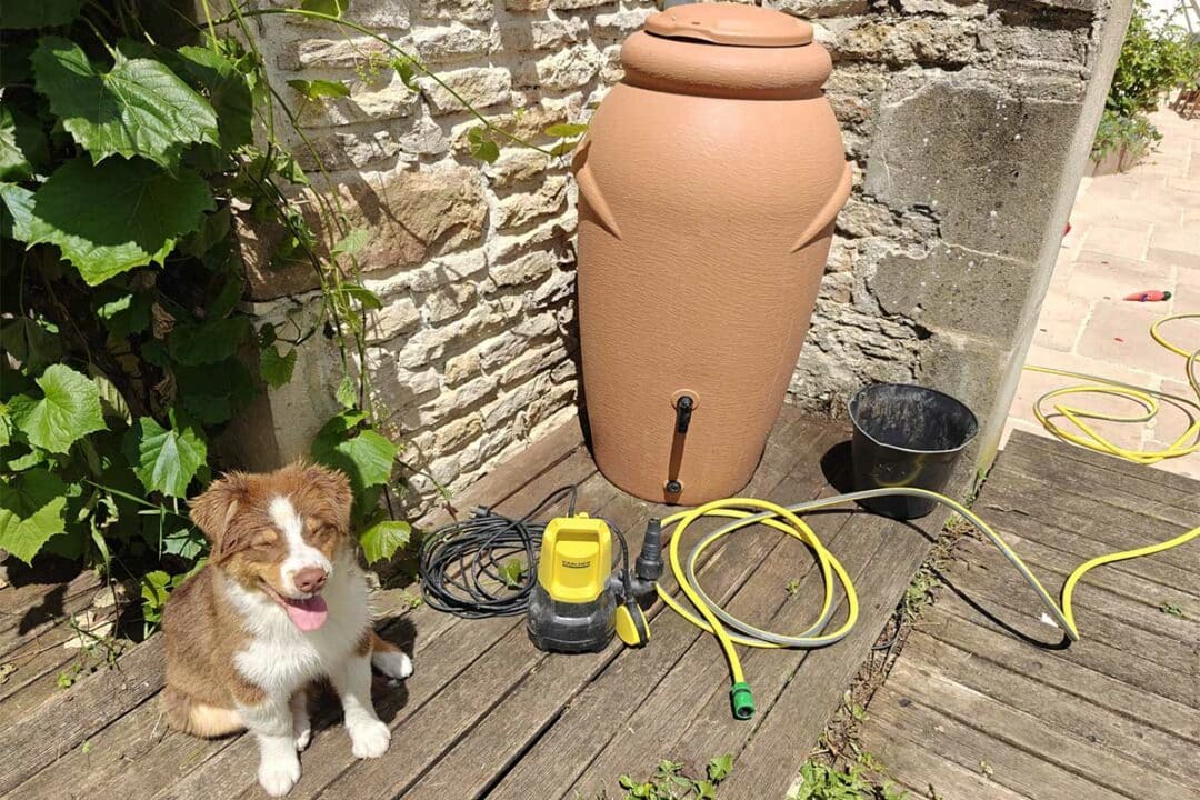 Un récupérateur d'eau.