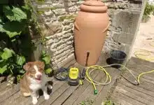 Un récupérateur d'eau.
