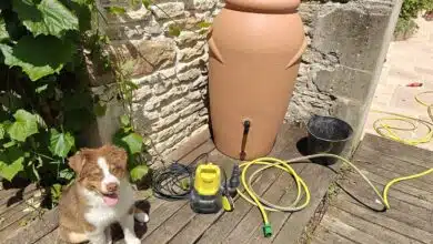 Un récupérateur d'eau.