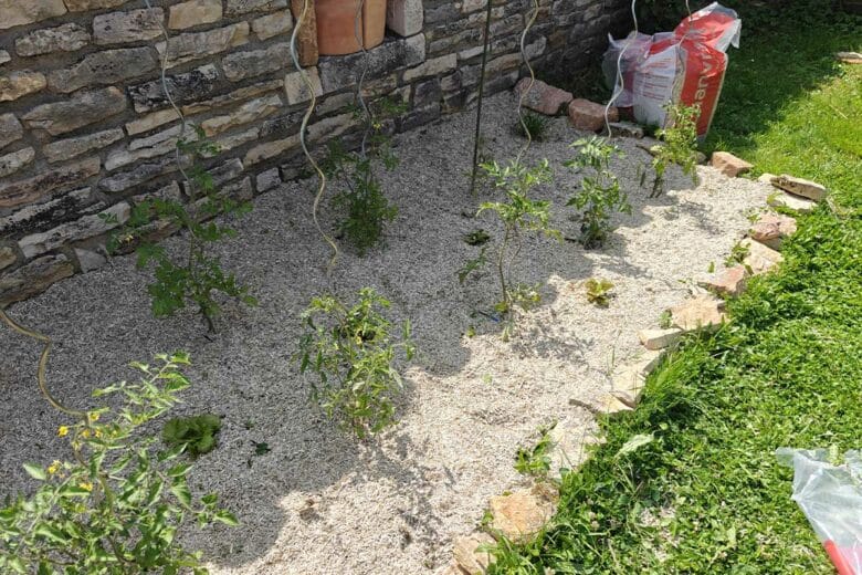 Du paillage de chanvre pour le jardin potager.