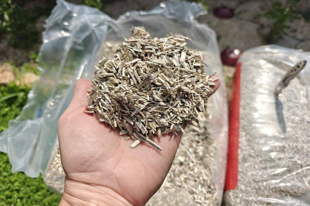 Il existe de nombreuses solutions pour le paillage au jardin dont le paillis de chanvre.