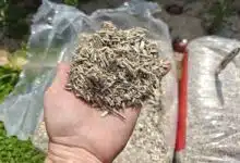 Il existe de nombreuses solutions pour le paillage au jardin dont le paillis de chanvre.