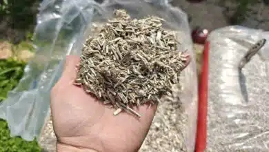 Il existe de nombreuses solutions pour le paillage au jardin dont le paillis de chanvre.